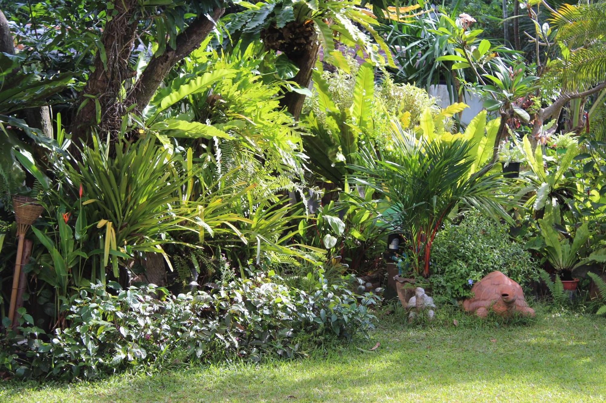 White Elephant Resort Surin Dış mekan fotoğraf