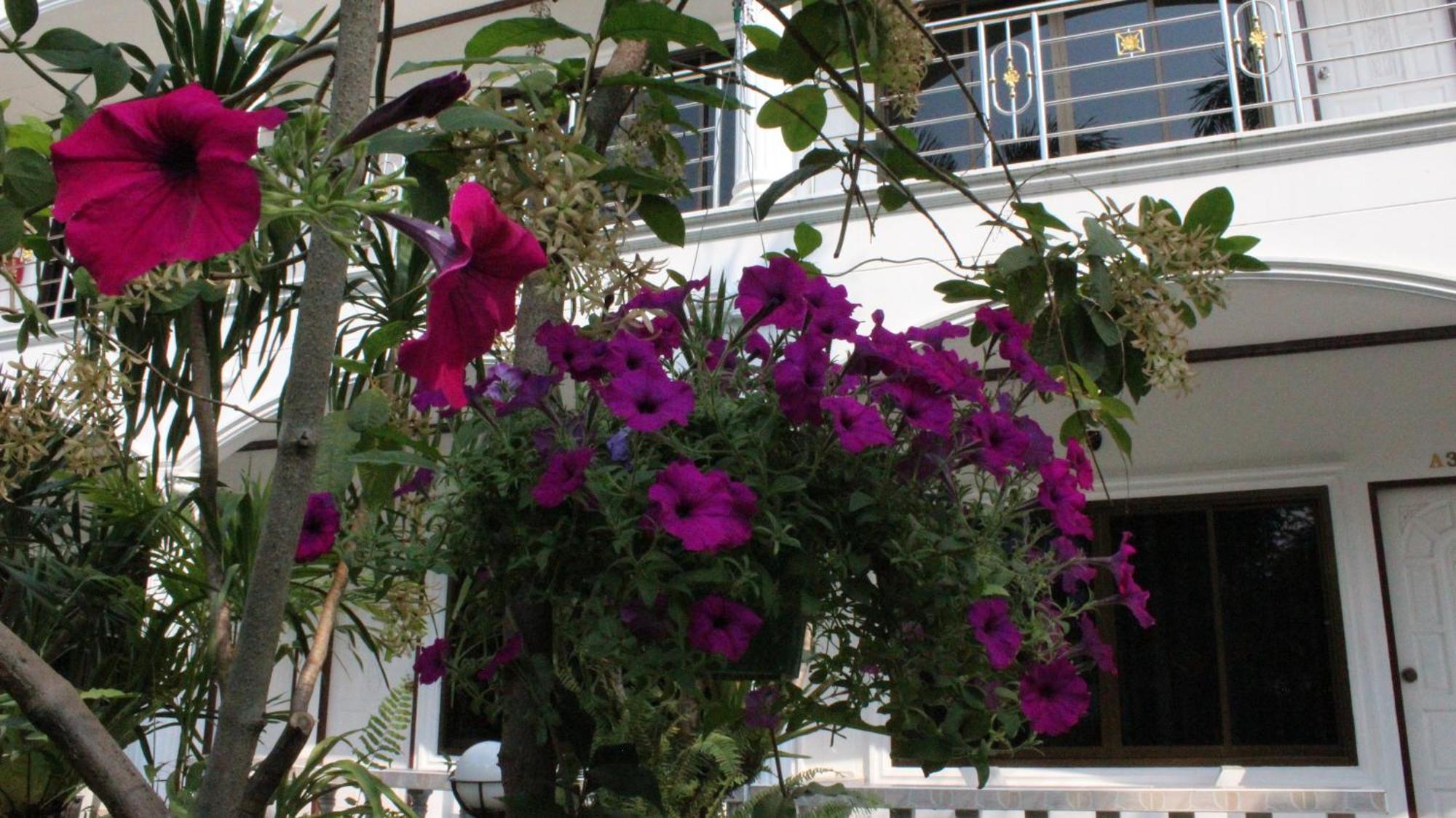 White Elephant Resort Surin Dış mekan fotoğraf